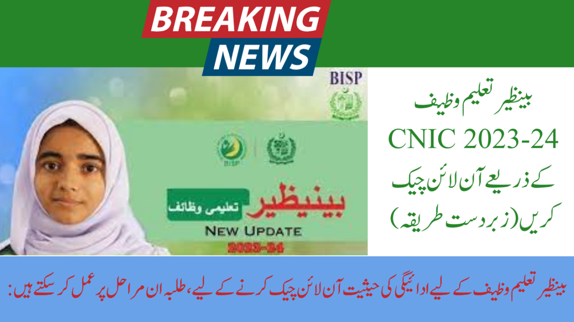Check Benazir Talimi Wazaif Online by CNIC 2023-24 (Awesome Way)