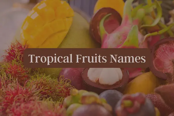 Tropical Fruit Names – List of Tropical Fruits